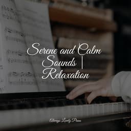 50 Tropical Songs for Deep Chillout & Relaxation - Study Piano