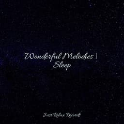 Wonderful Melodies | Sleep - Zen