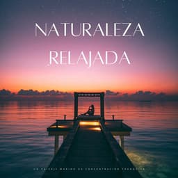 Naturaleza Relajada: Un Paisaje Marino De Concentración Tranquila - Música Inteligente