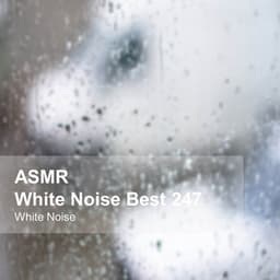White Noise ASMR Best 247 - White Noise