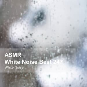 White Noise ASMR Best 247 - White Noise