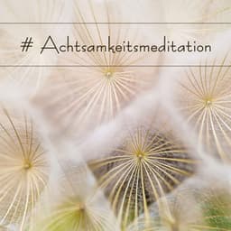 # Achtsamkeitsmeditation: 2 Stunden Meditationsmusik mit Naturgeräuschen - Buddhistische Meditationszone