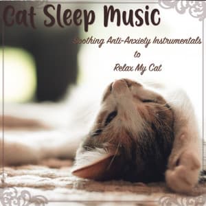Cat Sleep Music: Soothing Anti-Anxiety Instrumentals to Relax My Cat - Cat Music Dreams