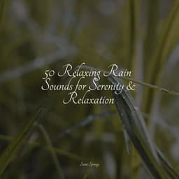50 Relaxing Rain Sounds for Serenity & Relaxation - Sleep Songs 101