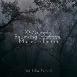 50 Anxiety Relieving Massage Music Collection - Lullabies for Deep Meditation