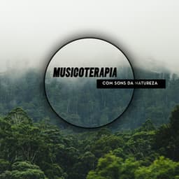 Musicoterapia com Sons da Natureza: Sons da Floresta, Pássaros e Grilos para Relaxamento Profundo e Alívio do Estresse - Academia Sons da Natureza