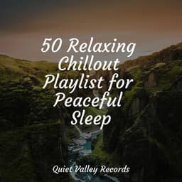 50 Relaxing Chillout Playlist for Peaceful Sleep - Nature Sounds Collection