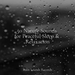 50 Nature Sounds for Peaceful Sleep & Relaxation - Relaxing Rain Sounds