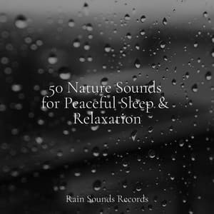 50 Nature Sounds for Peaceful Sleep & Relaxation - Relaxing Rain Sounds