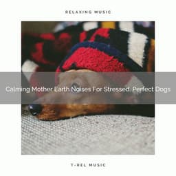 Calming Mother Earth Noises For Stressed, Perfect Dogs - Dog Relax
