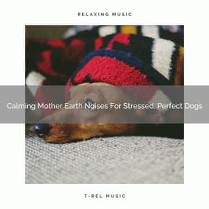 Calming Mother Earth Noises For Stressed, Perfect Dogs - Dog Relax