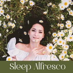 Sleep Alfresco - Sleeping Music Zone
