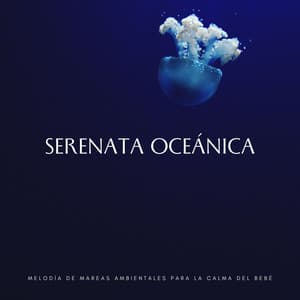 Serenata Oceánica: Melodía De Mareas Ambientales Para La Calma Del Bebé - Sonidos De Oceano