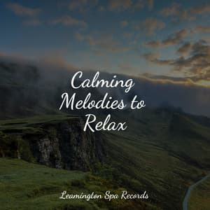 Calming Melodies to Relax - White Noise For Baby Sleep