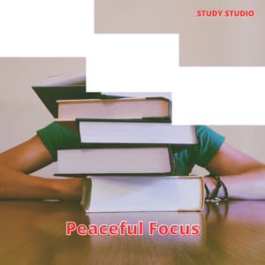 Peaceful Focus: Soothing Study Environment - Study Studio