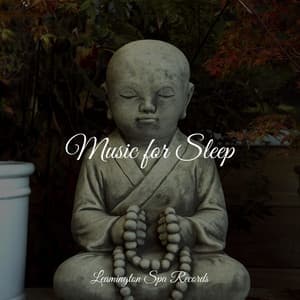 Music for Sleep - Sonido de lluvia