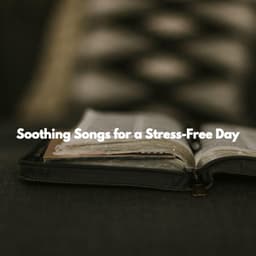 Soothing Songs for a Stress-Free Day - Brazilian Jazz Lounge