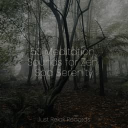 50 Meditation Sounds for Zen Spa Serenity - Chakra Balancing Sound Therapy