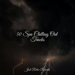 50 Spa Chilling Out Tracks - Study Music & Sounds