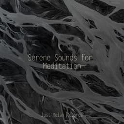 Serene Sounds for Meditation - Reiki Music