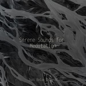 Serene Sounds for Meditation - Reiki Music