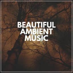 Beautiful Ambient Music - Ambient Sample Library