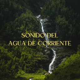 Sonido Del Agua De Corriente - Flujo de agua definitivo