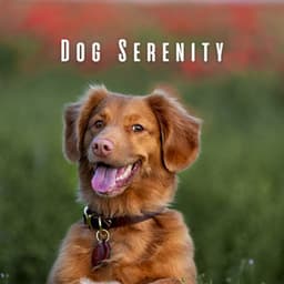 Dog Serenity: Chill Music for Happy Tails - Elemental Samples
