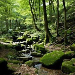 Notas Fluidas Del Agua: Sinfonía Serenata Del Arroyo - Madre tierra hd