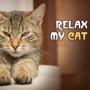 Relax My Cat - Soothing Music for Cats and Pets at Home Alone, Pet & Dog Relaxation - Pet Couture