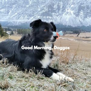 Good Morning, Doggos - Calm Dog Music