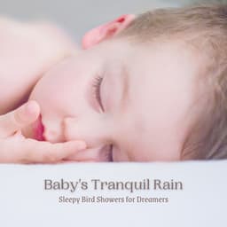 Baby's Tranquil Rain: Sleepy Bird Showers for Dreamers - Nature and Rain