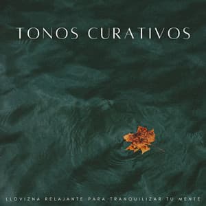 Tonos Curativos: Llovizna Relajante Para Tranquilizar Tu Mente - Resplandor de lluvia