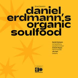 Daniel Erdmann's Organic Soulfood - Daniel Erdmann