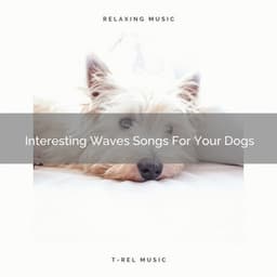 Interesting Waves Songs For Your Dogs - Pets Relax