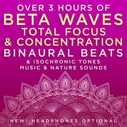 Over 3 Hours of Beta Waves Total Focus & Concentration Binaural Beats & Isochronic Tones Music & Nature Sounds - Binaural Beats Research