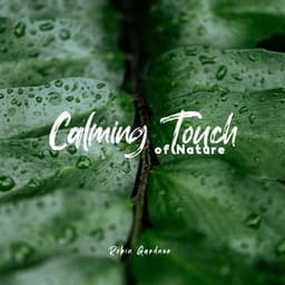 Calming Touch of Nature: Relaxing White Noise for Sleep & Stress Relief, Nature Sounds - Robin Gardner