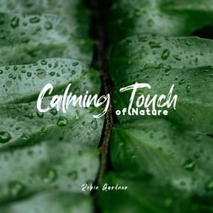 Calming Touch of Nature: Relaxing White Noise for Sleep & Stress Relief, Nature Sounds - Robin Gardner