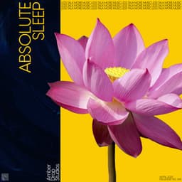 Absolute Sleep - 101 Relax