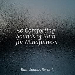 50 Comforting Sounds of Rain for Mindfulness - Relajación