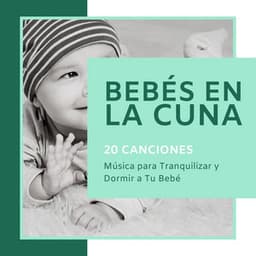 Bebés En La Cuna 20 Canciones: Música Para Tranquilizar Y Dormir A Tu Bebé - Sonido Del Bosque y Naturaleza