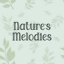 Nature's Melodies - Rain Sounds Nature Collection