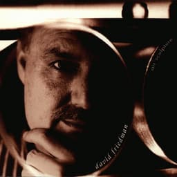 Air Sculpture - David Friedman