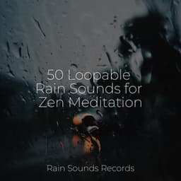 50 Loopable Rain Sounds for Zen Meditation - Rest & Relax Nature Sounds Artists