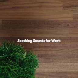 Soothing Sounds for Work - Reading Background Music Playlist