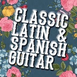 Classic Latin & Spanish Guitar - The Acoustic Guitar Troubadours