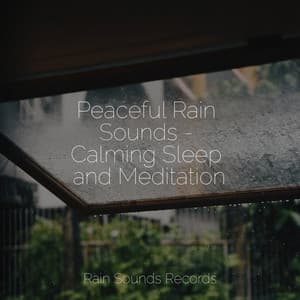 Peaceful Rain Sounds - Calming Sleep and Meditation - Musica de Relajación Academy