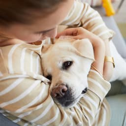 Canine Serenity with Lofi: Melodic Dog Comfort - LoFi Jazz