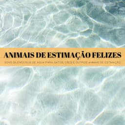 Animais De Estimação Felizes: Sons Silenciosos De Água Para Gatos, Cães E Outros Animais De Estimação - Música Para Cães Adormecidos