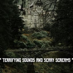 * Terrifying Sounds And Scary Screams * - The Haunted House of Horror Sound Effects